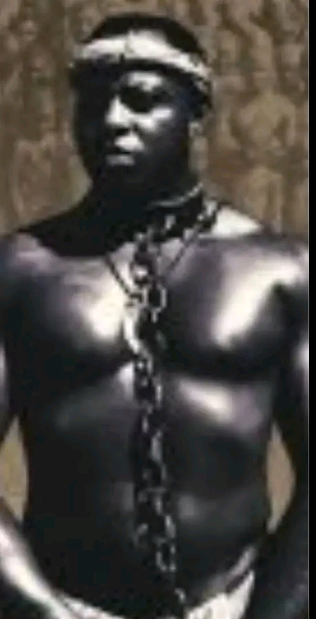 BATA SIKA a man found in Brazil whose only purpose in life was to fertilise women to have as many babies as possible,